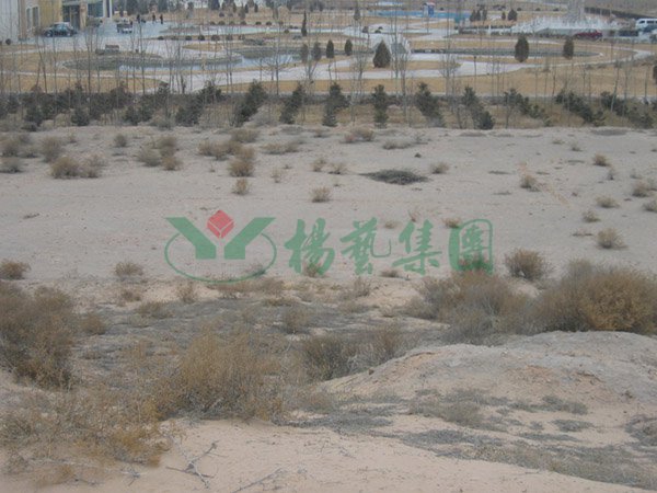 和记娱乐·h88(中国)怡情博娱官网