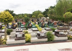 上；懔靶腔鹎