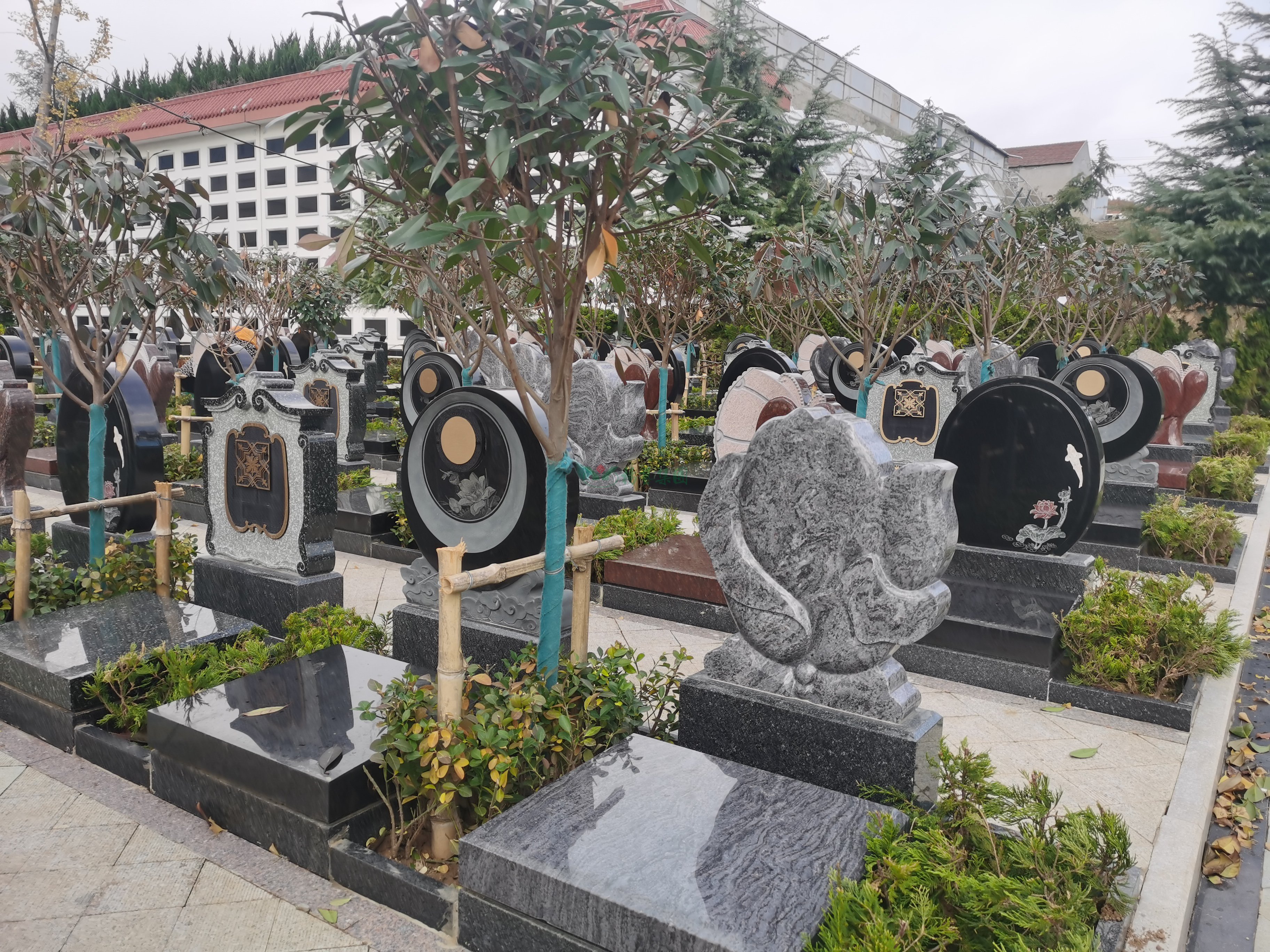 和记娱乐·h88(中国)怡情博娱官网