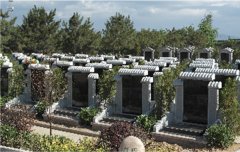 有一种墓碑，叫文化