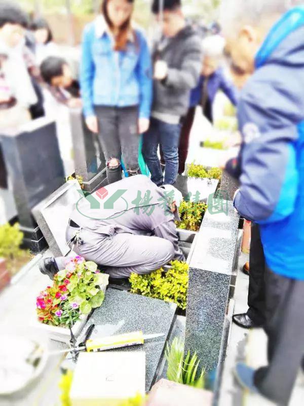 和记娱乐·h88(中国)怡情博娱官网