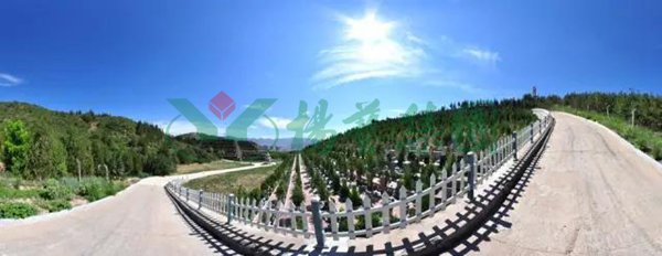 和记娱乐·h88(中国)怡情博娱官网