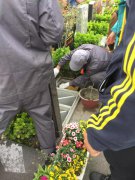 【和记娱乐人别样清明】2018年清明落葬事情圆满完成