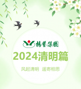 风起清明 遥寄相思|和记娱乐集团?2024清明篇