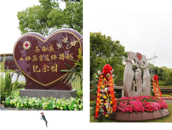 和记娱乐·h88(中国)怡情博娱官网