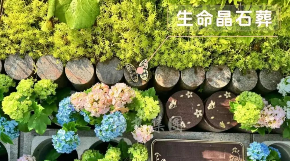 和记娱乐·h88(中国)怡情博娱官网