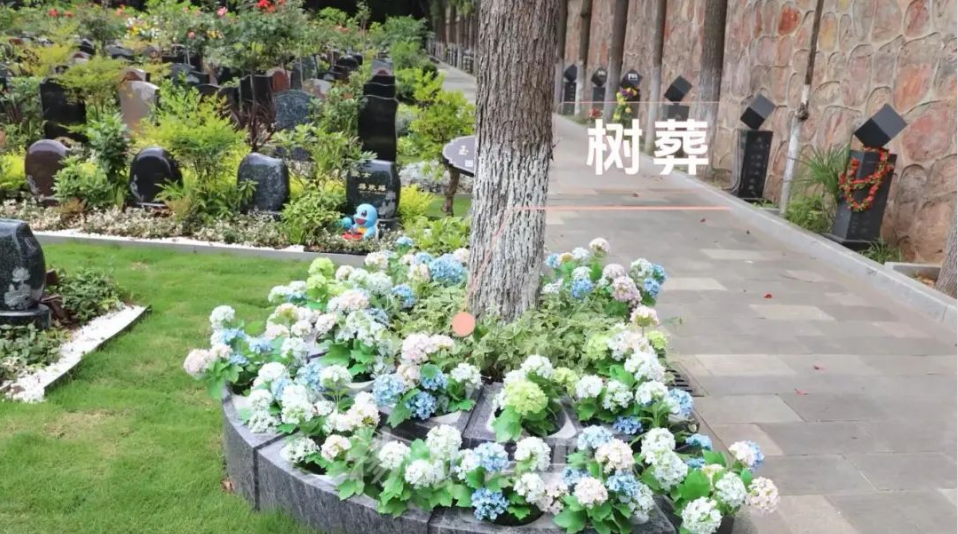 和记娱乐·h88(中国)怡情博娱官网