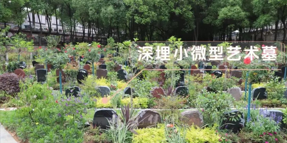 和记娱乐·h88(中国)怡情博娱官网