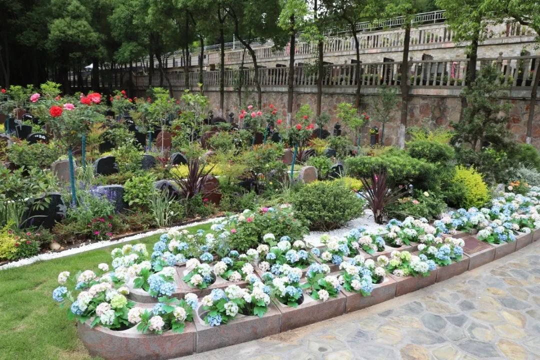 和记娱乐·h88(中国)怡情博娱官网