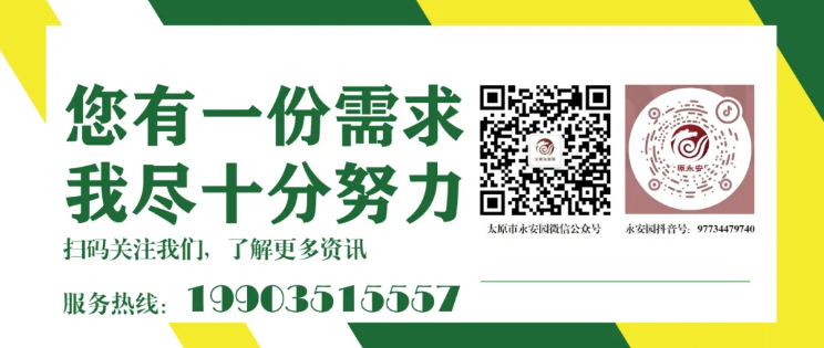 和记娱乐·h88(中国)怡情博娱官网