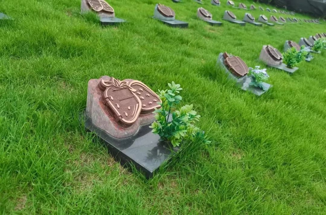 和记娱乐·h88(中国)怡情博娱官网