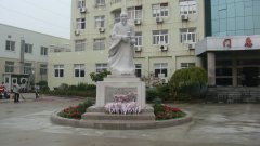 石雕匠心，镌刻医者风华