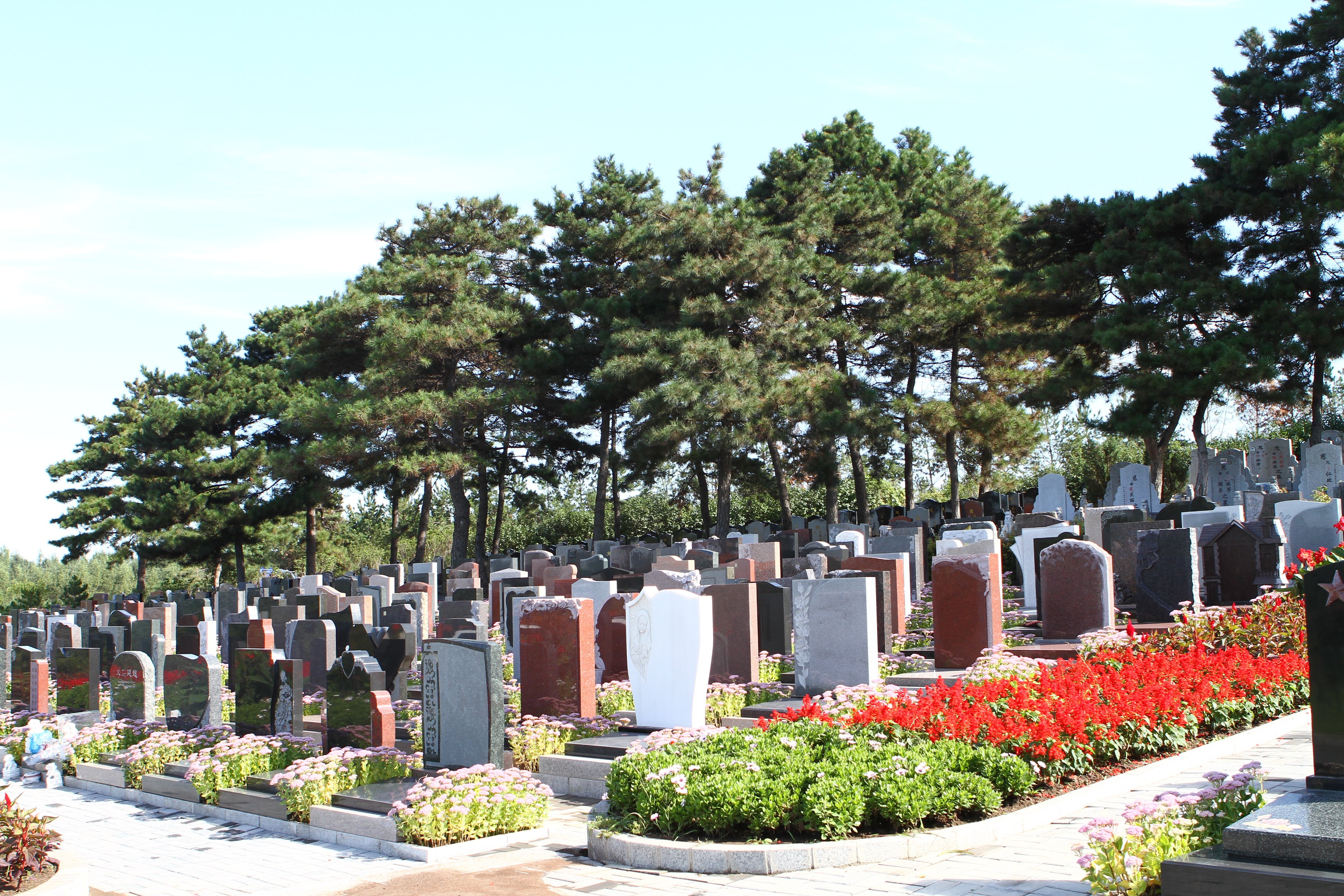 和记娱乐·h88(中国)怡情博娱官网