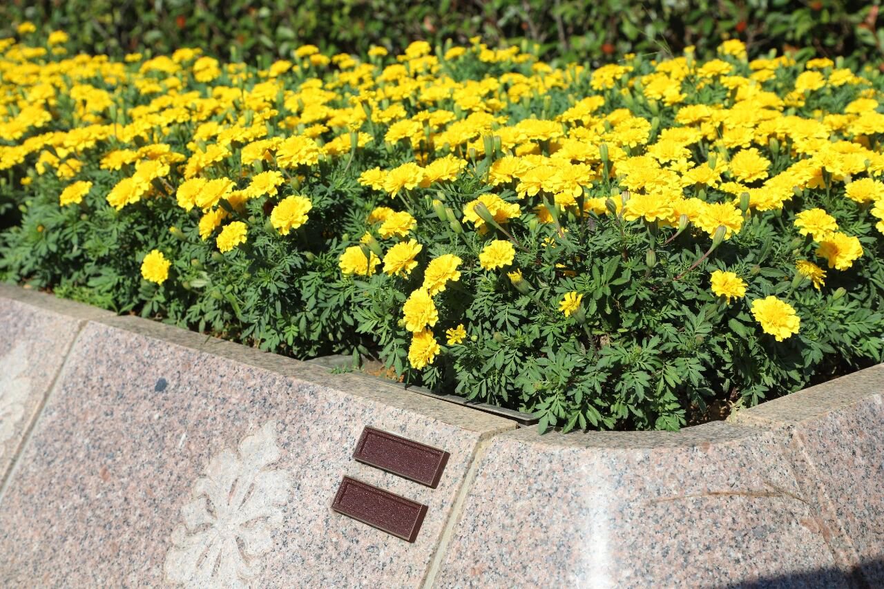 和记娱乐·h88(中国)怡情博娱官网