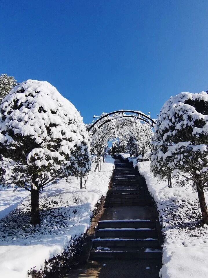 和记娱乐·h88(中国)怡情博娱官网