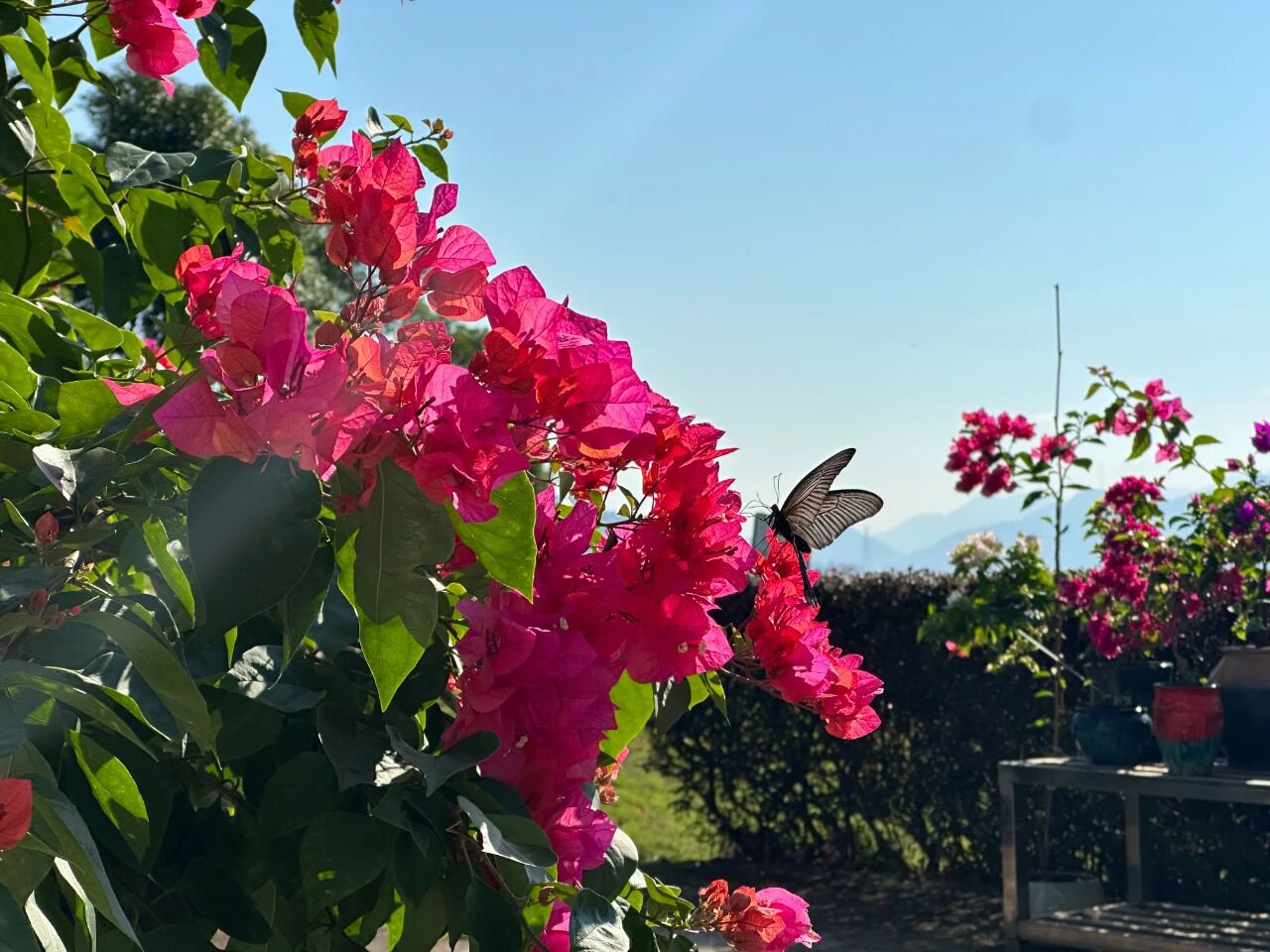 和记娱乐·h88(中国)怡情博娱官网