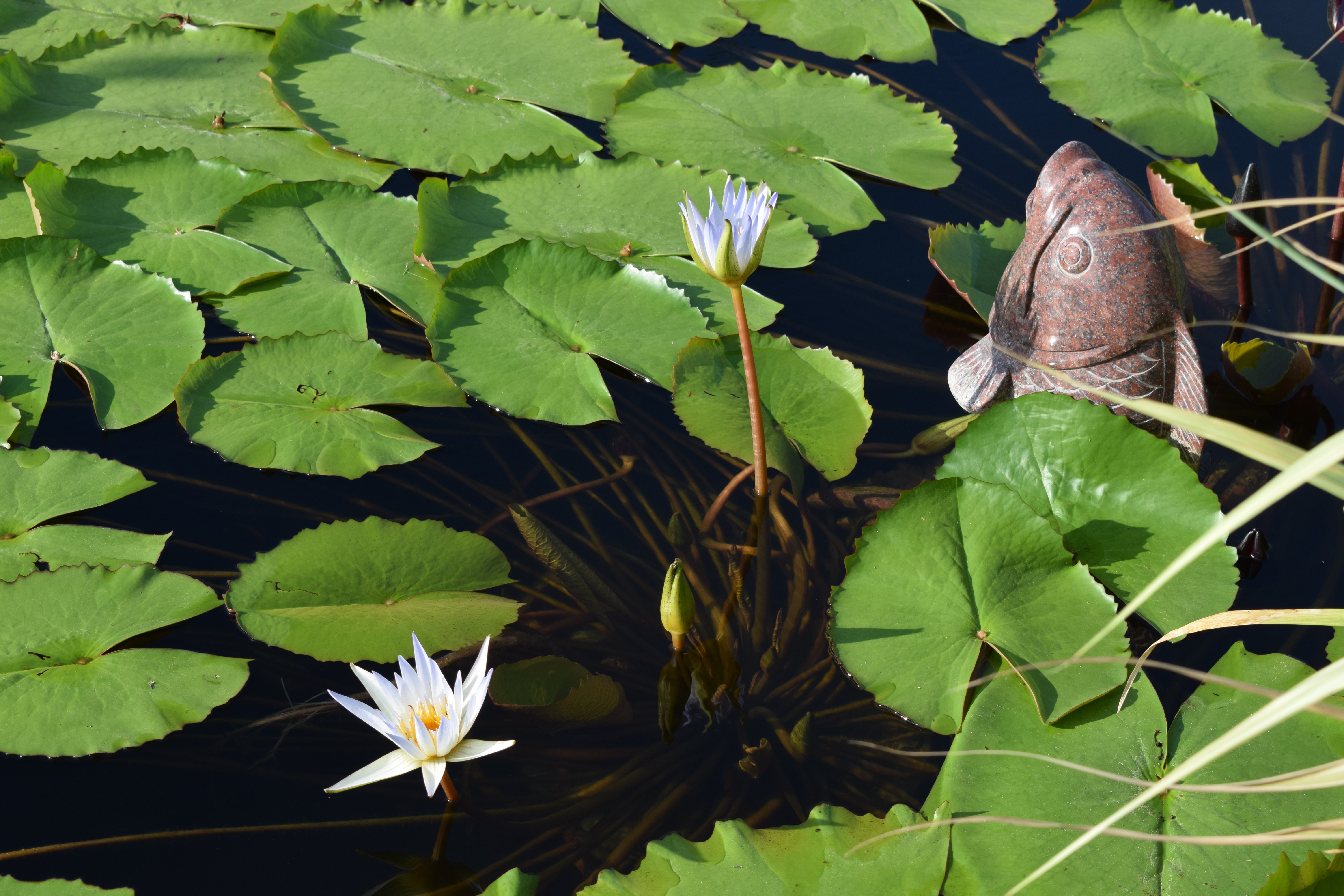 和记娱乐·h88(中国)怡情博娱官网
