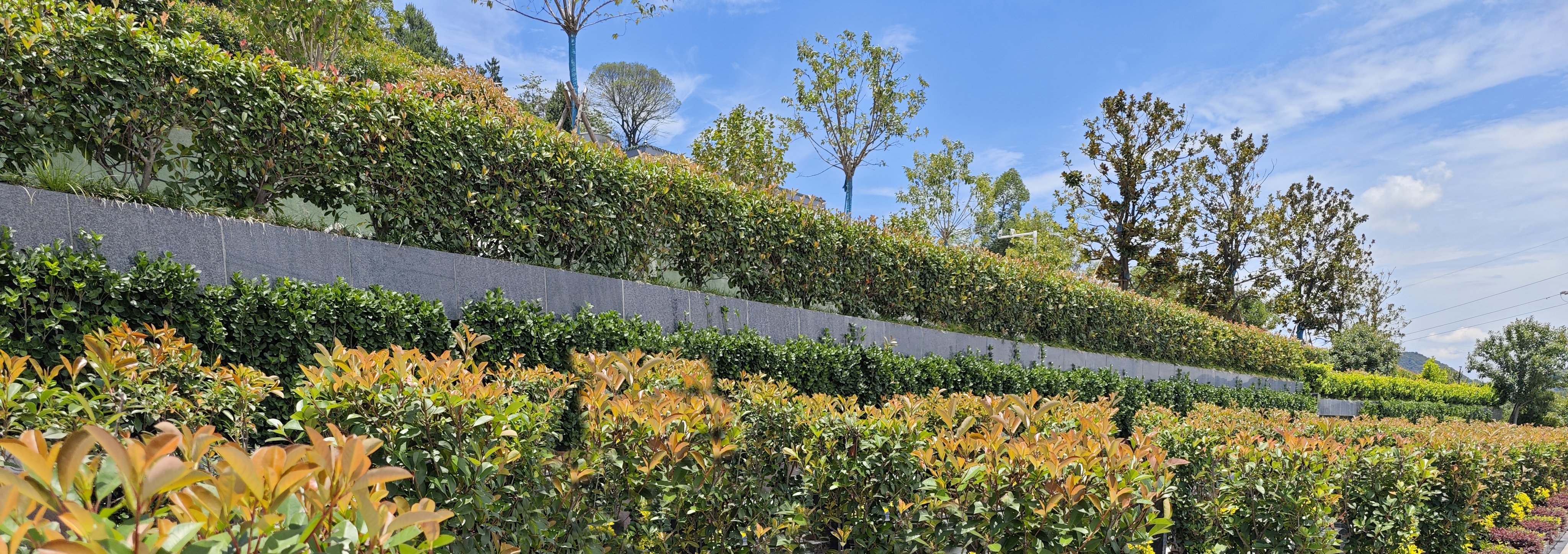 和记娱乐·h88(中国)怡情博娱官网