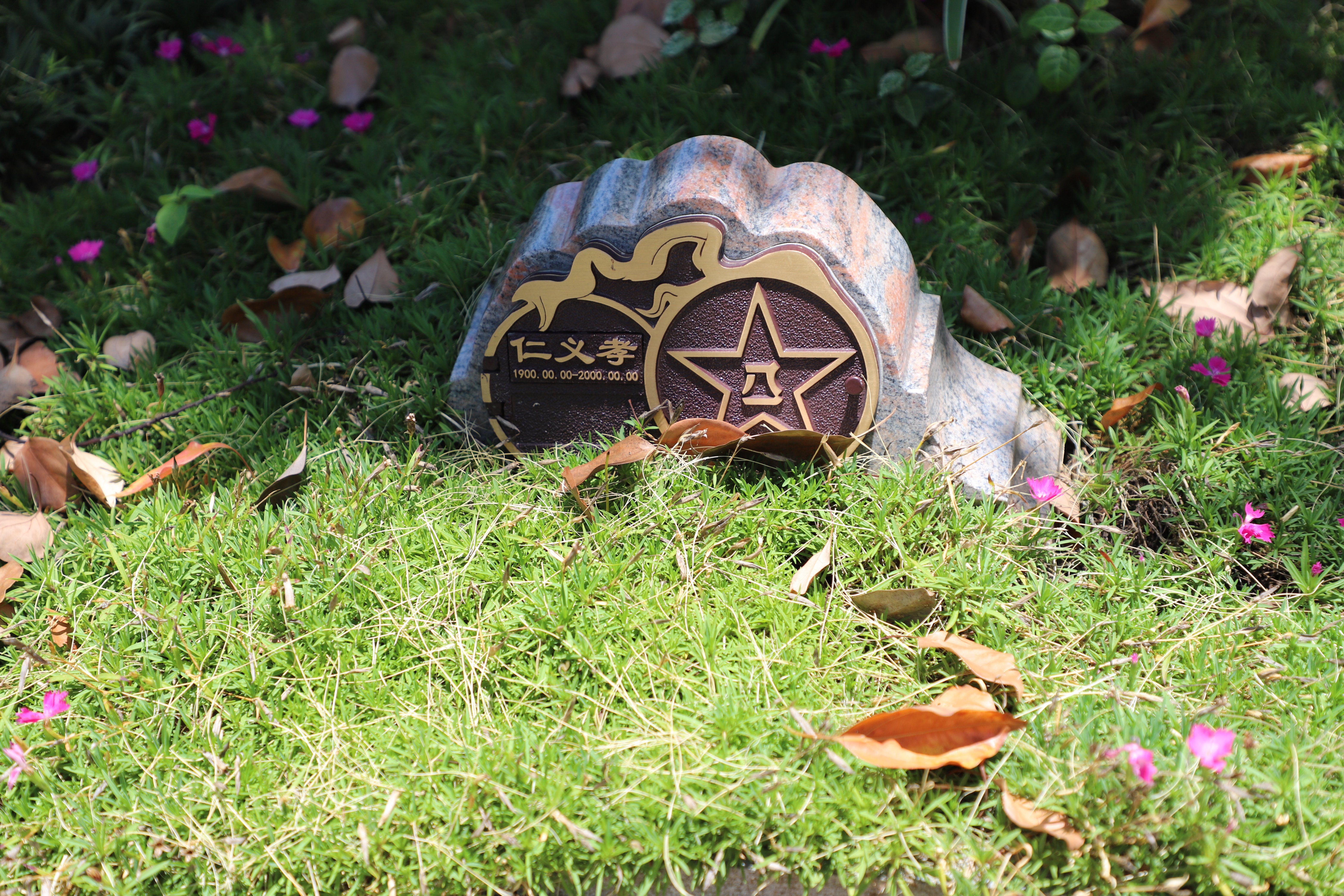 和记娱乐·h88(中国)怡情博娱官网