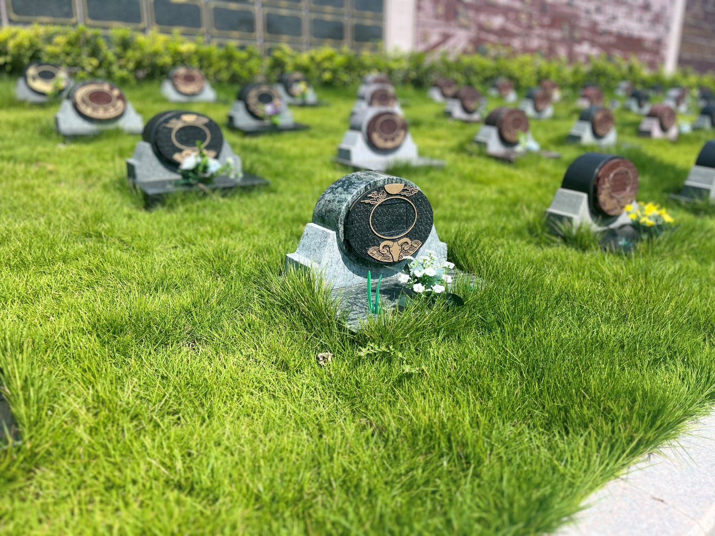 和记娱乐·h88(中国)怡情博娱官网